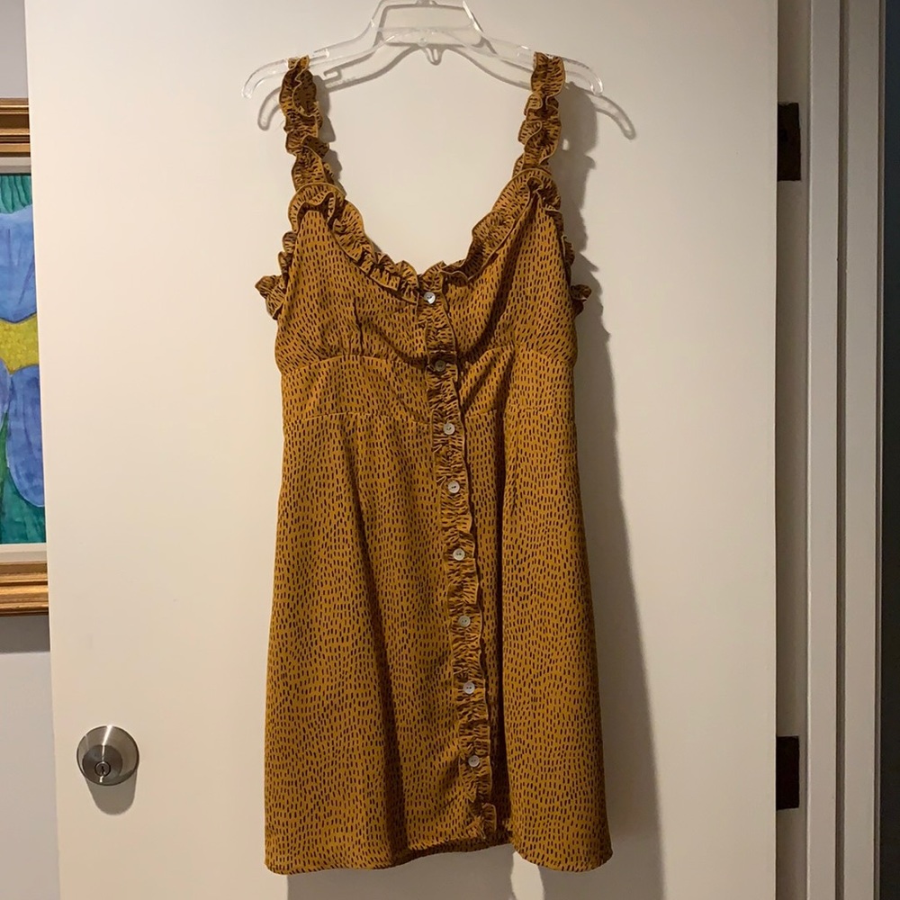 Hummingbird buttoned dress
